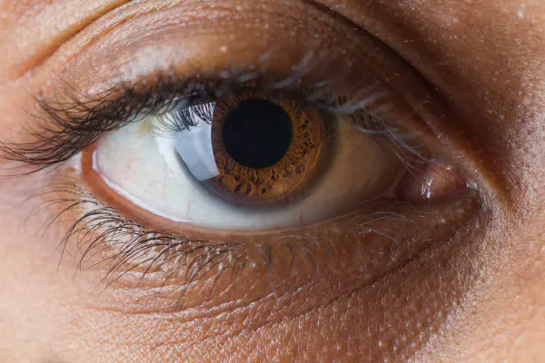 Saúde Ocular: Luteína, Zeaxantina e Nutrição Para Proteger a Visão (2026)