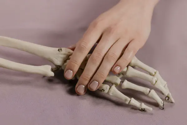 Ossos Fortes Após os 30: Guia Completo de Cálcio, Vitamina D, K2 e Prevenção da Osteoporose