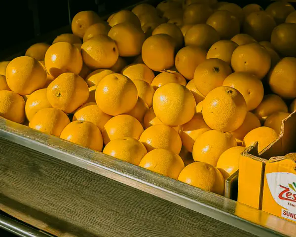 Vitamina E: Guia Completo 2026 — Benefícios, Fontes e Riscos